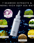 Deep Sea Scalp Cleansing Treatment