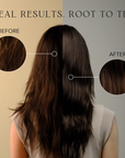 Complete Scalp and Gray Care System with Root Vanish Color Treatment – Kiwabi