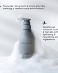 anti dandruff scalp shampoo