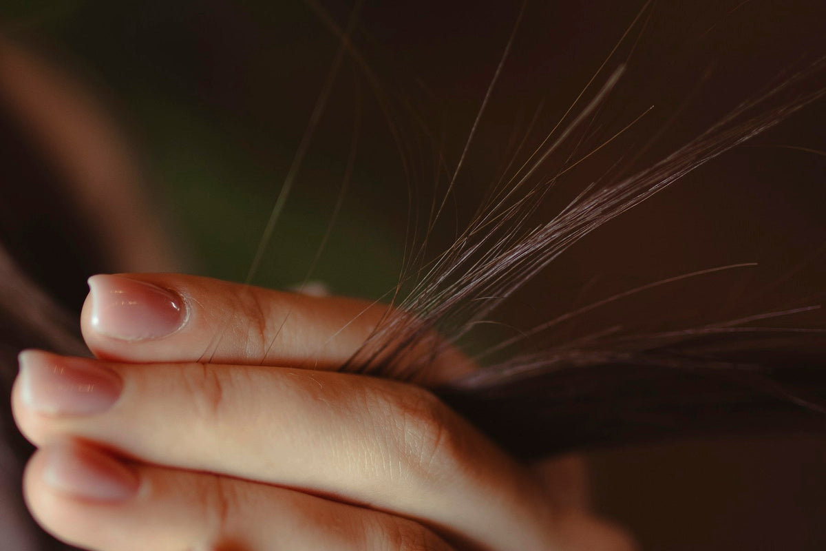 Close-up of fingers holding brown hair ends against a dark background.