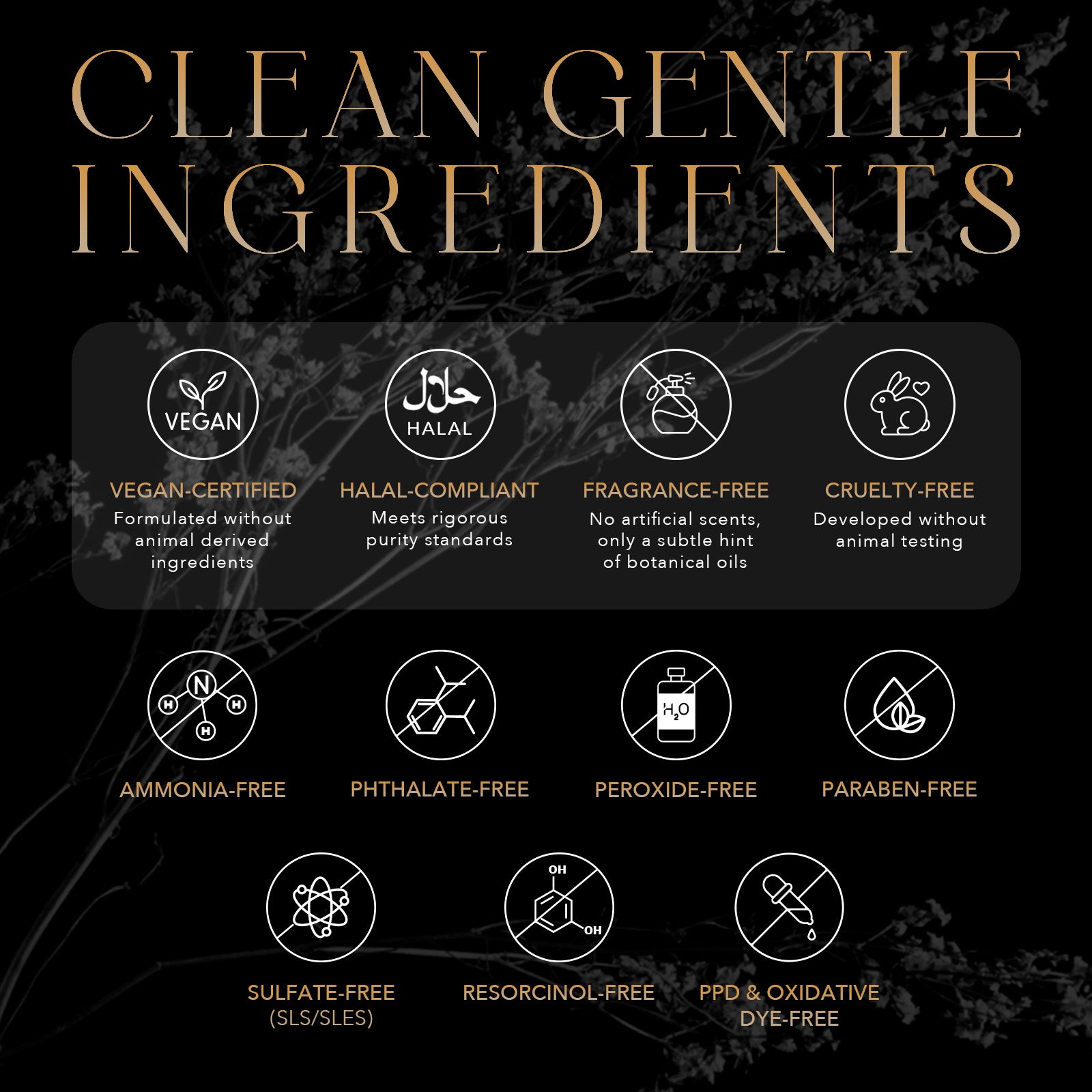 Complete Scalp and Gray Care System with Root Vanish Color Treatment – Kiwabi