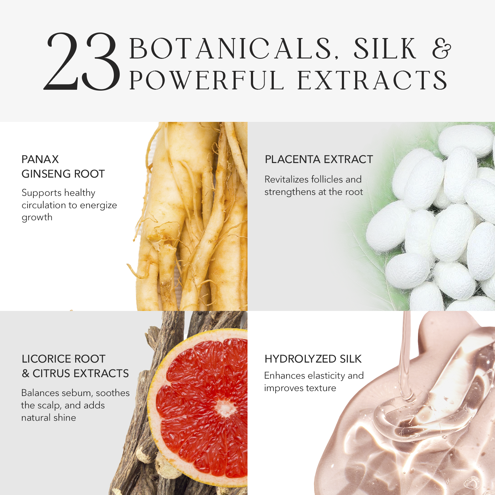 Vollständiges Kopfhaut-Entgiftungs- und Wachstumsset