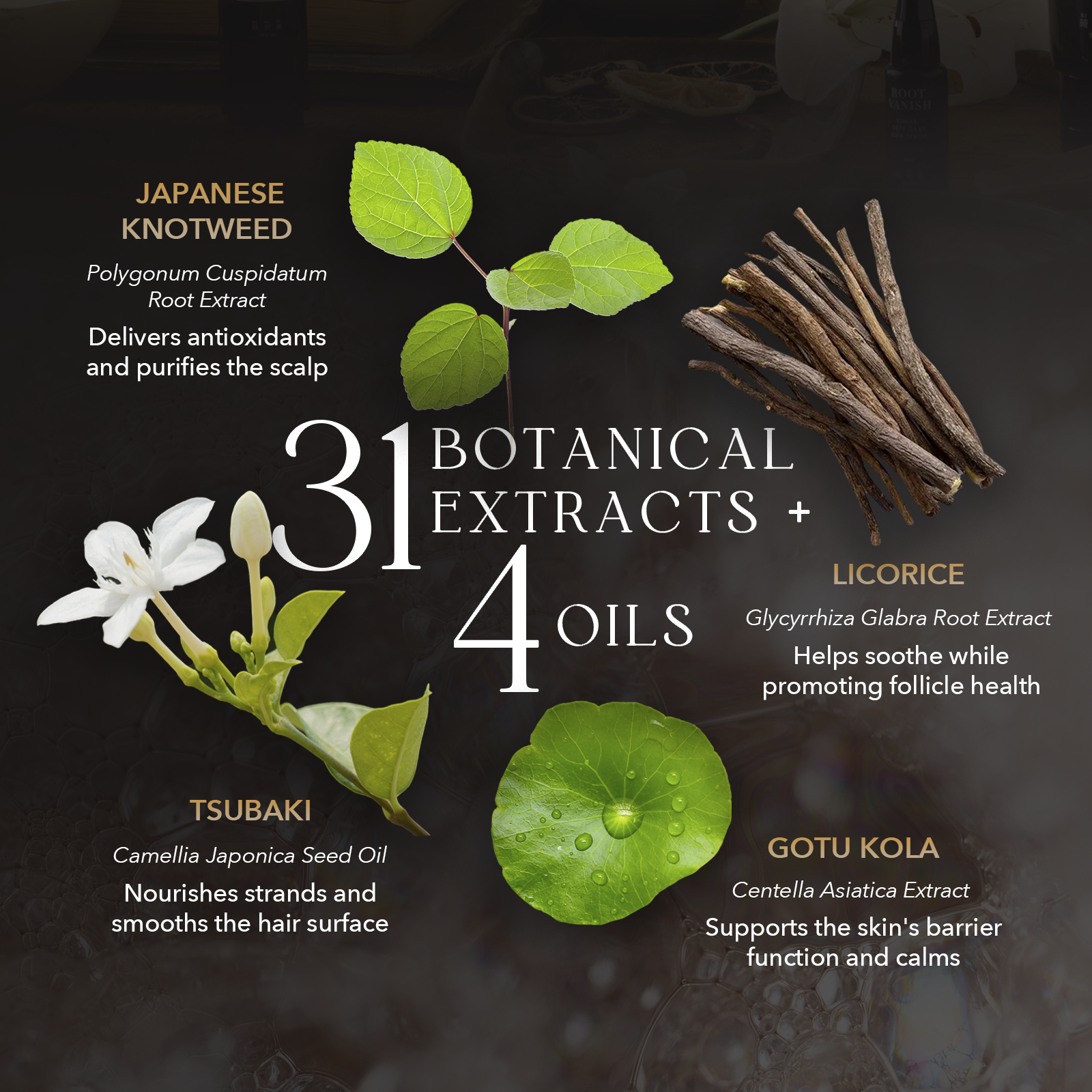 Hair Color Shampoo for Gray Hair