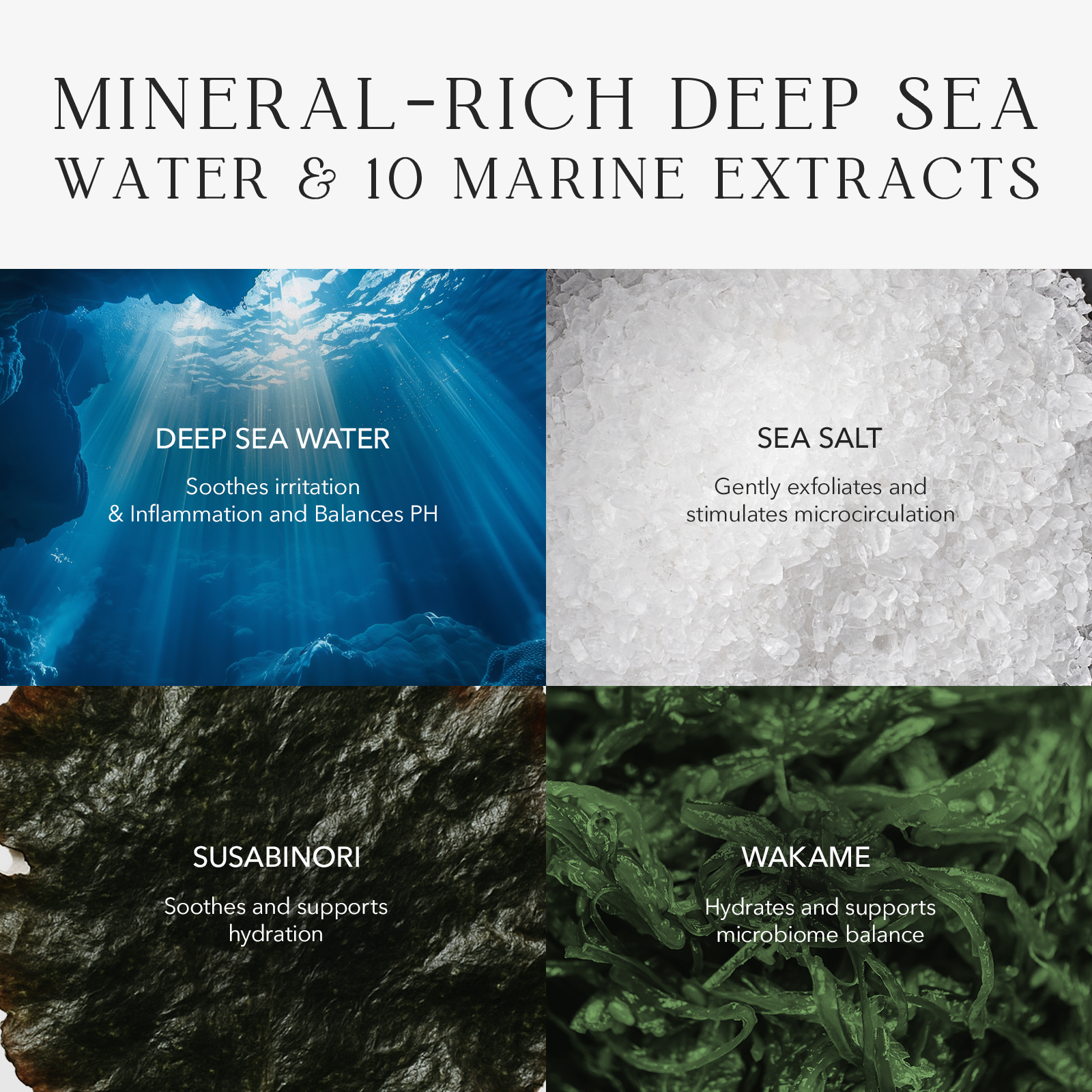 Vollständiges Kopfhaut-Entgiftungs- und Wachstumsset