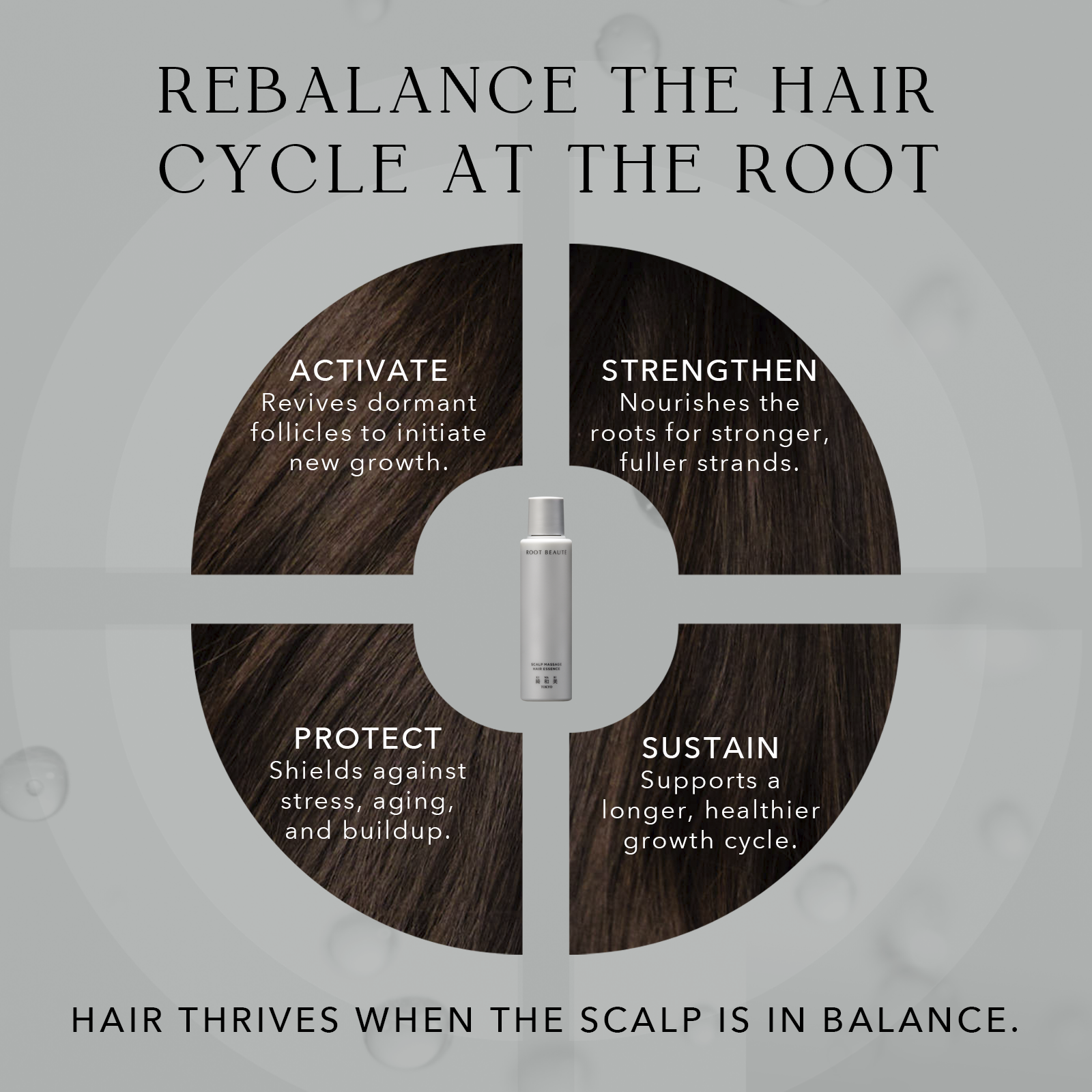 Complete Scalp &amp; Gray Care System